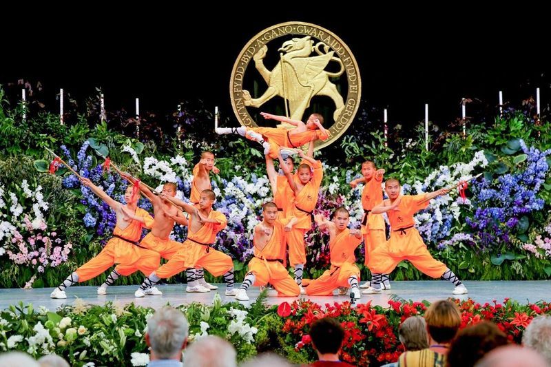 南少林禅武康养之旅圆满落幕 中外友谊再续新篇